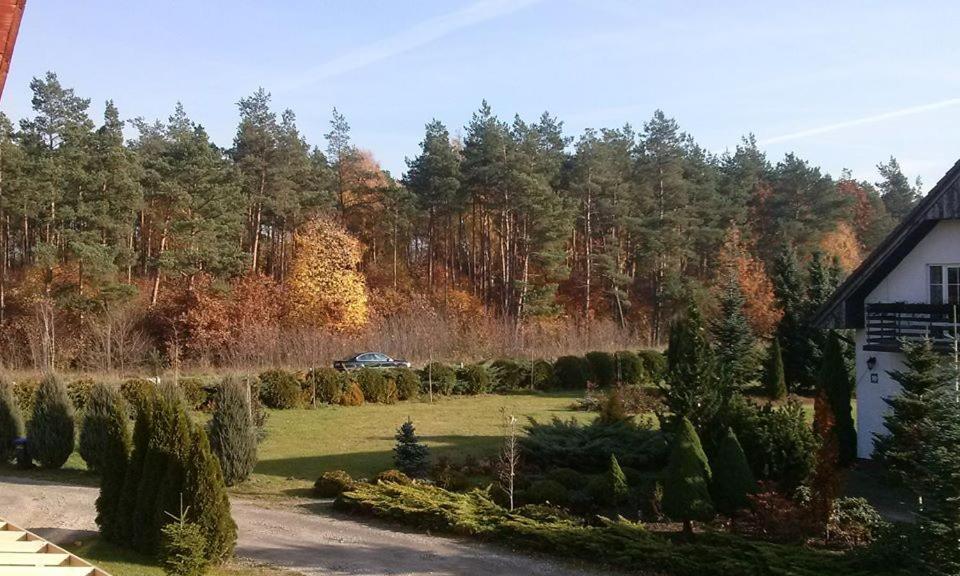 Pokoje Goscinne Przylesie Lobez Exterior photo